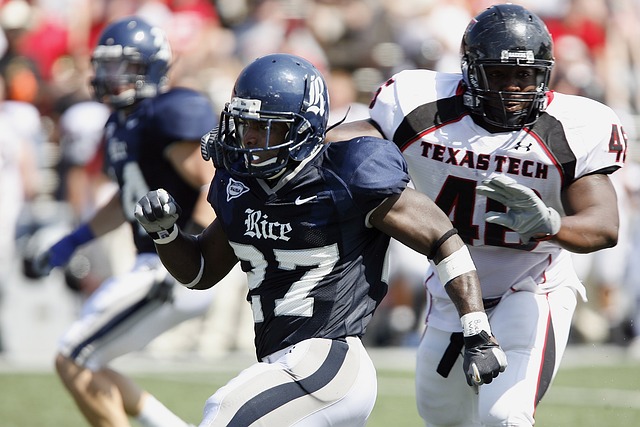 挑战和风险 挑战和风险