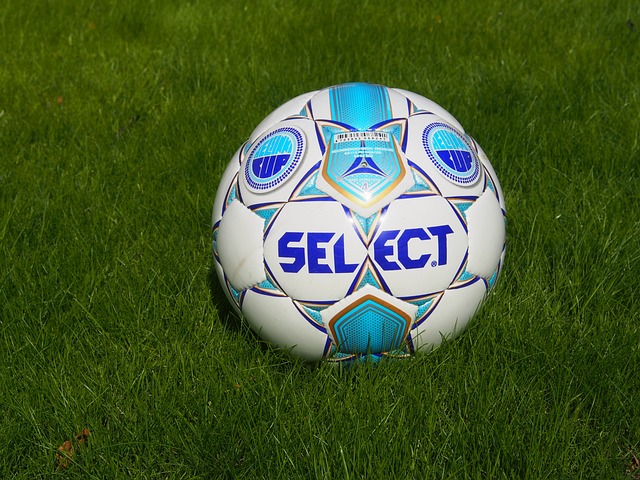 著名球星本 著名球星本