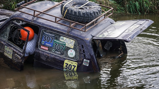 分析两队的 分析两队的