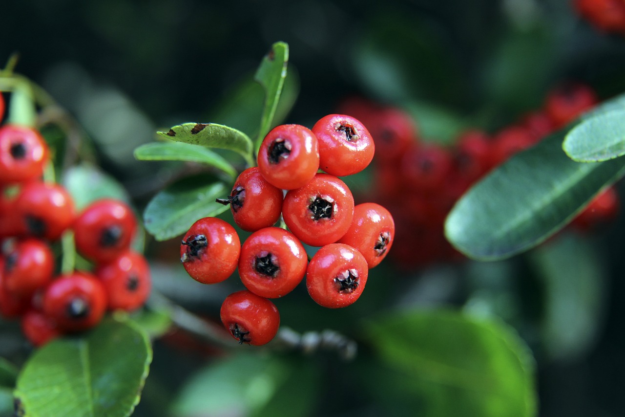 尤其是在他 尤其是在他