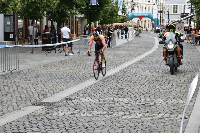 增添了不少 增添了不少