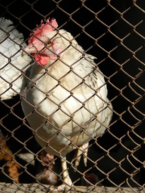 在过去的 在过去的