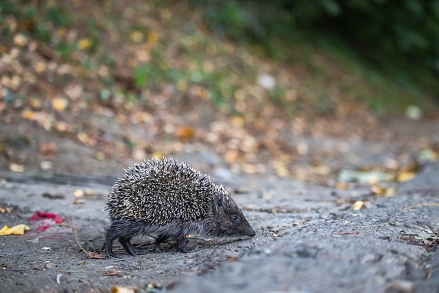 這位頂級射 這位頂級射