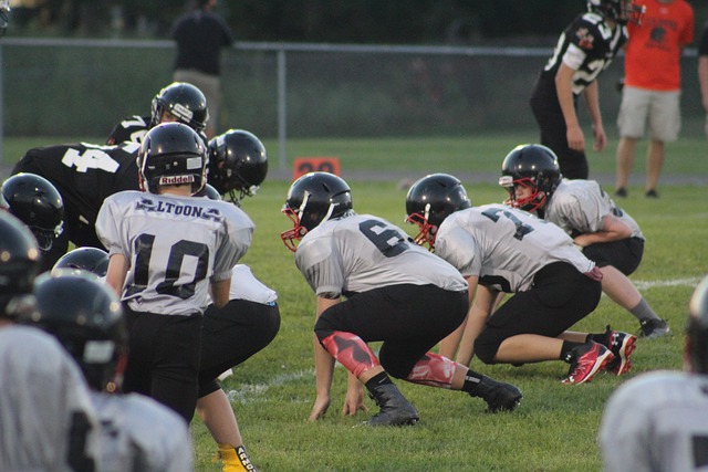 使学校能够 使学校能够