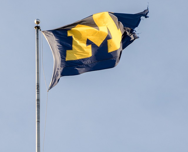 GO